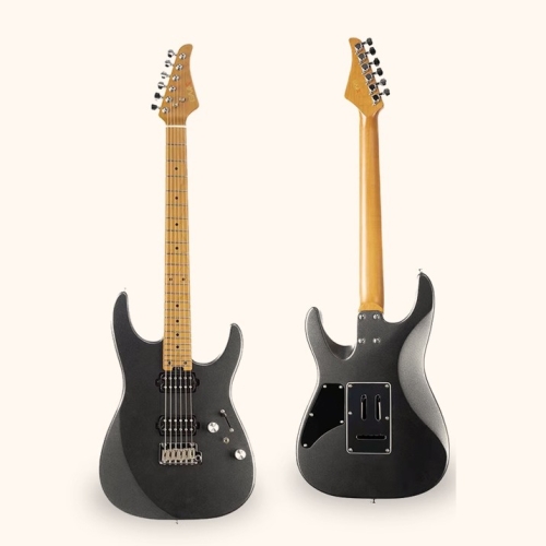 Versatile Modern Popular Metal 10 Tones Double Shake Professional DMx10 Electric Guitar
