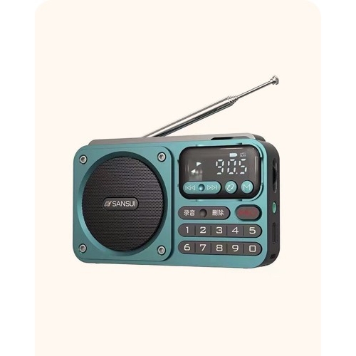 Shanshui F22 portable FM radio Bluetooth recorder card insertion