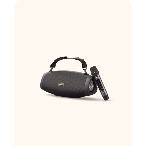 Weierjing D10+ Outdoor Waterproof Portable Karaoke Crossbody Singing Subwoofer Bluetooth Speaker Home KTV