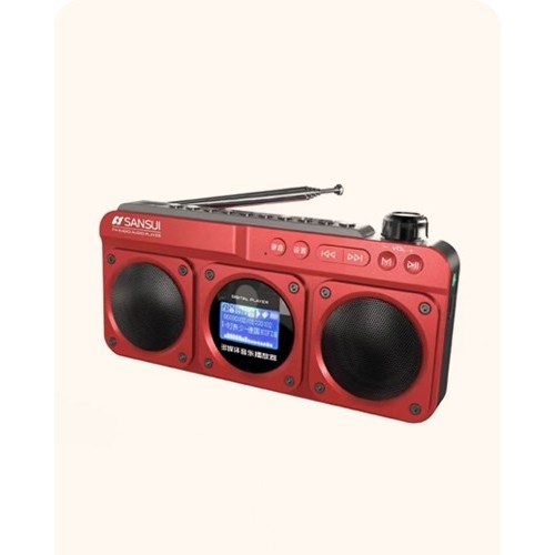 Portable FM radio card, Bluetooth speaker, dual speaker stereo recorder